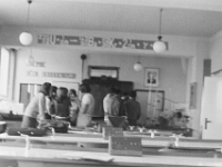 PICT0192 (27)